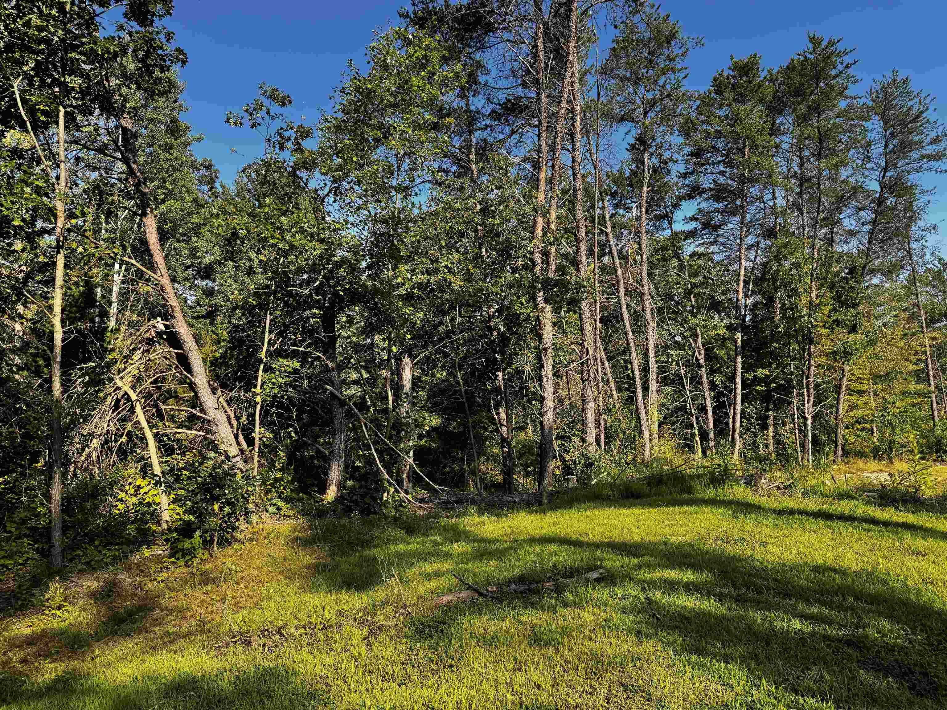 Other - 3.17 Ac Bass Lake Lane, Lyndon Station, WI
