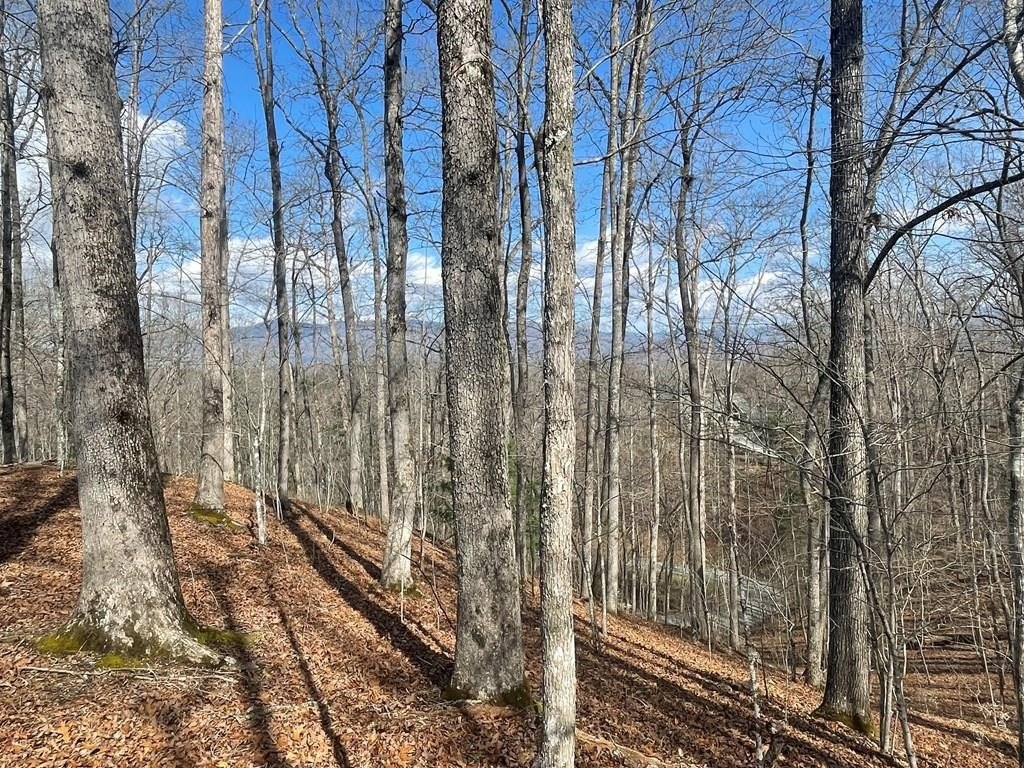 Other - Fontana Loop S lot: 61-3, Bryson City, NC