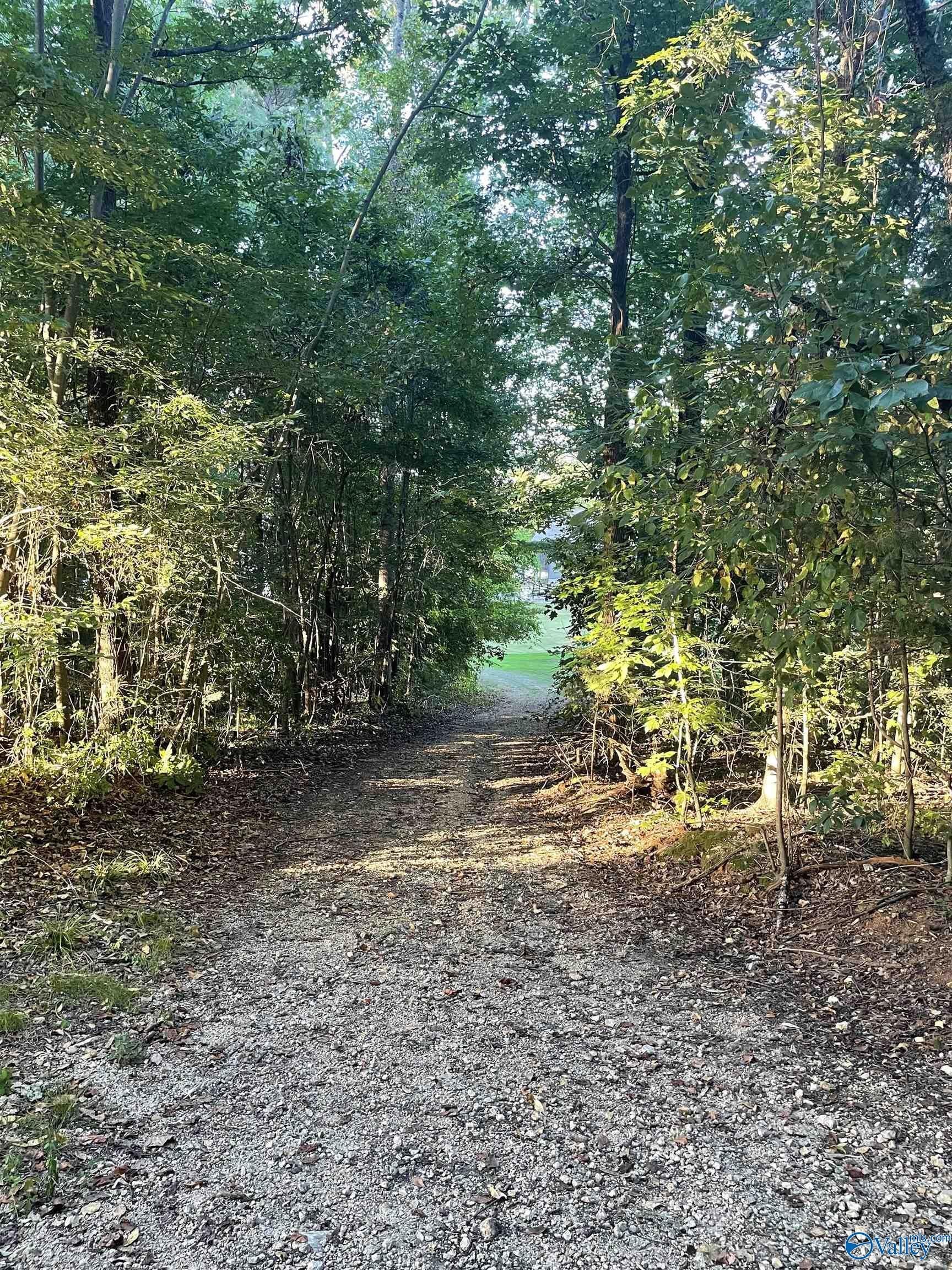 Other - Onondaga Circle lot: 48, Langston, AL