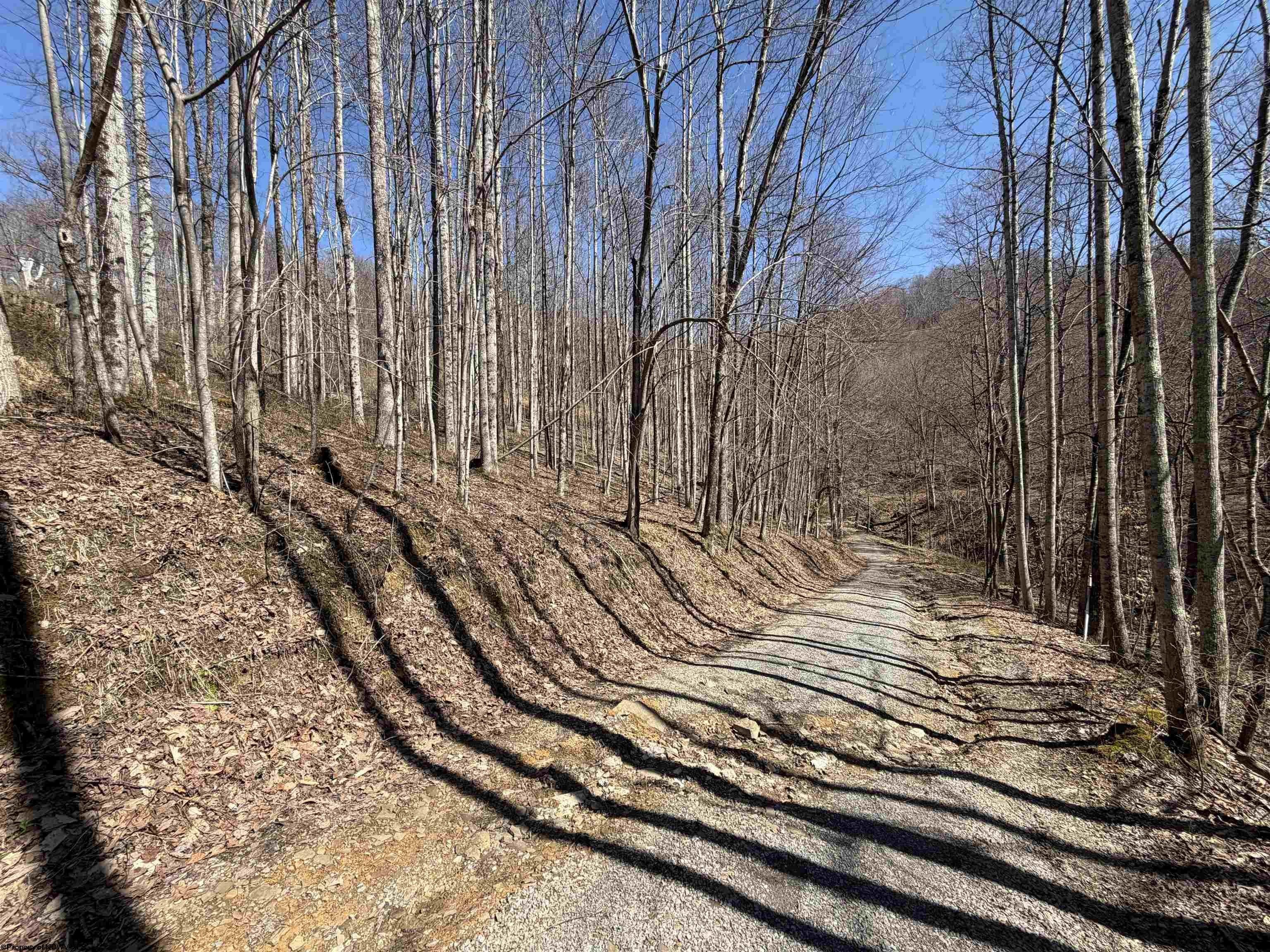 Other - 145 Yellow House Lane, Elkins, WV