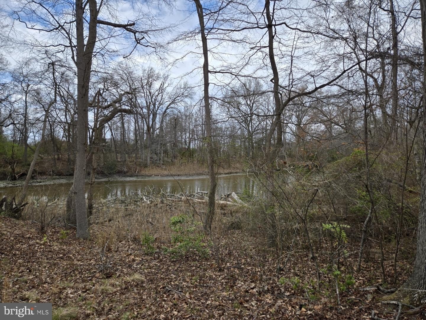 Plots and Land - 248 HARBOR LN, QUEENSTOWN, MD