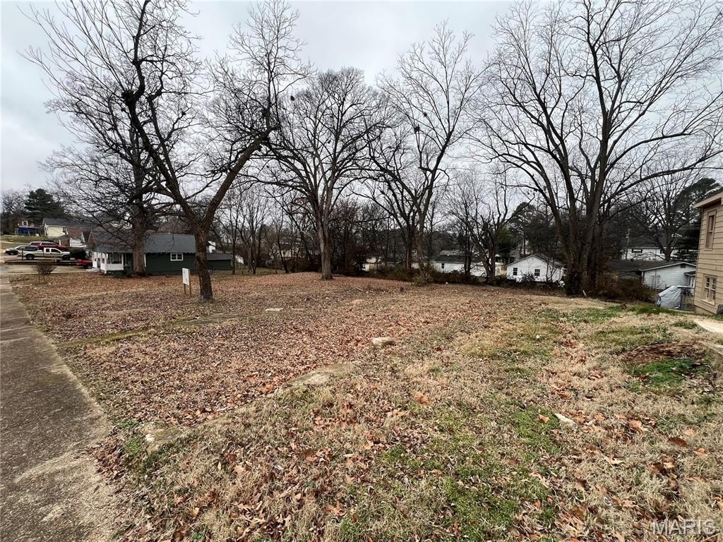 Other - 725 N 10th Street, Poplar Bluff, MO