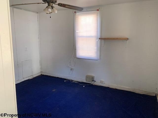 Single Family 3BR 1BA - 68 Cole Street, Philippi, WV