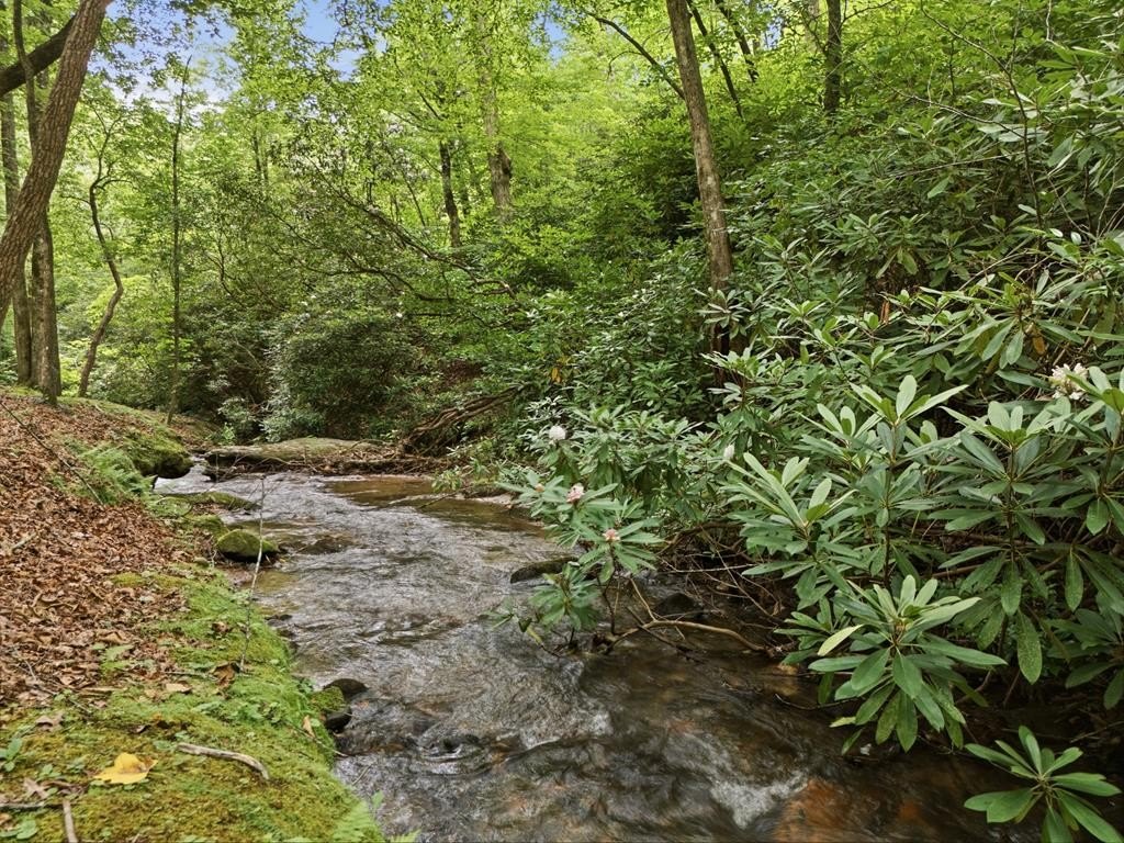 Other 1BR 1BA - 86 Pounding Mill Creek, Hayesville, NC