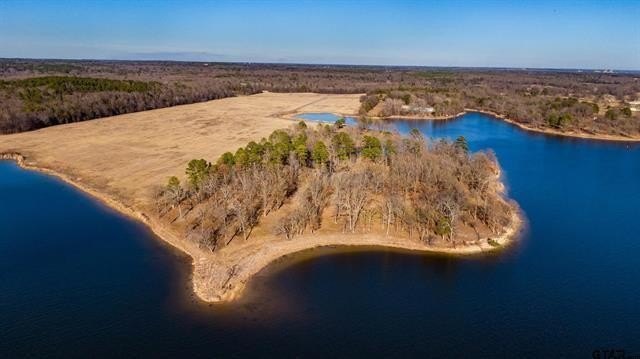 Other - Eagles Nest Circle lot: 5, Mount Vernon, TX
