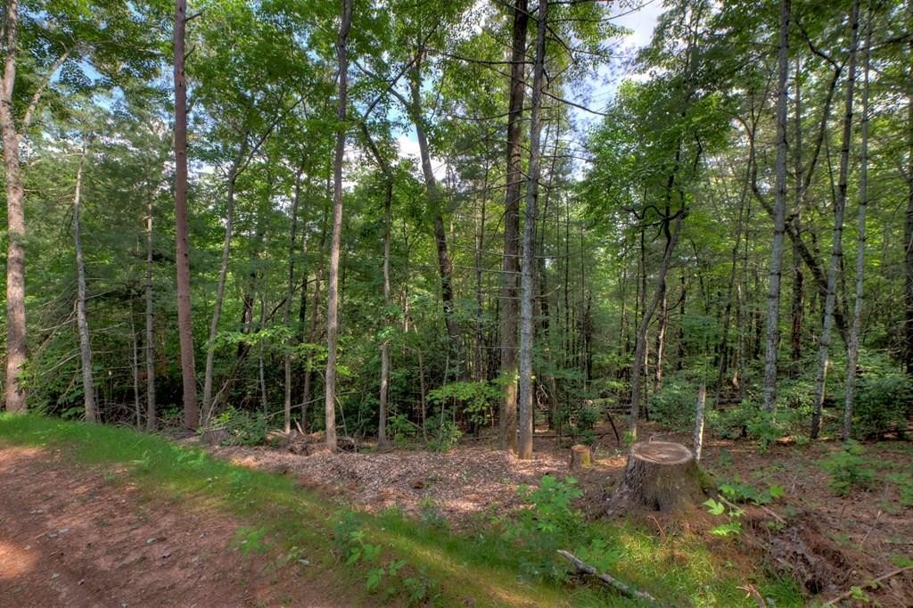 Other - Sugar Creek Road, Blue Ridge, GA