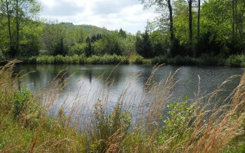 Other - 25 Tusquittee Crossing lot: 25, Hayesville, NC