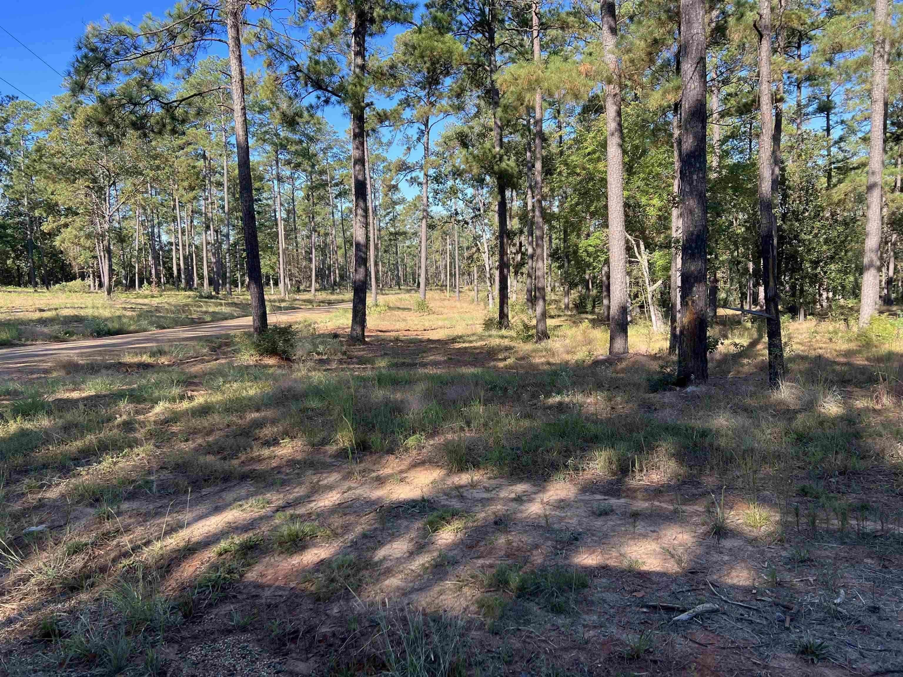 Other - 064 Private Road 6026, Brookeland, TX