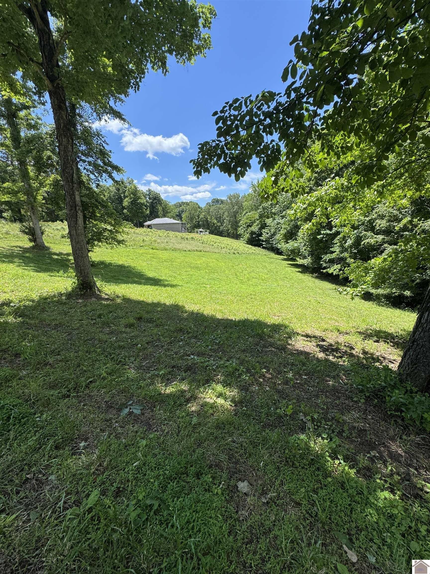 Other - E Cobblestone Ct lot: 35, Kuttawa, KY