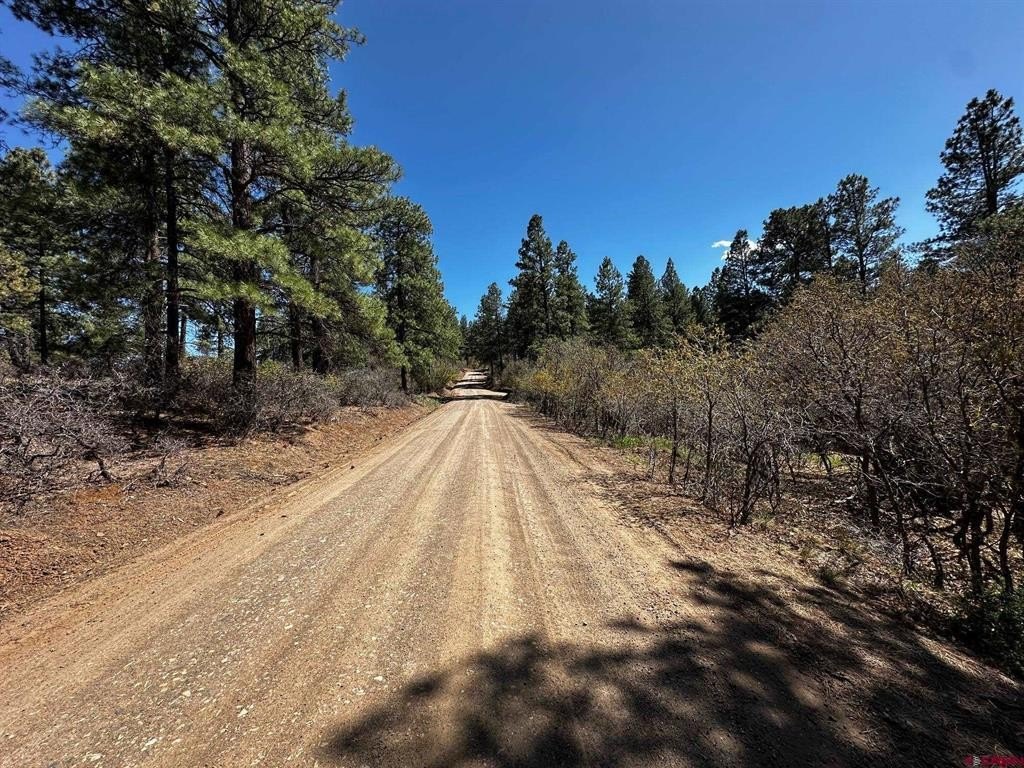 Other - 523 Oakridge Drive, Pagosa Springs, CO