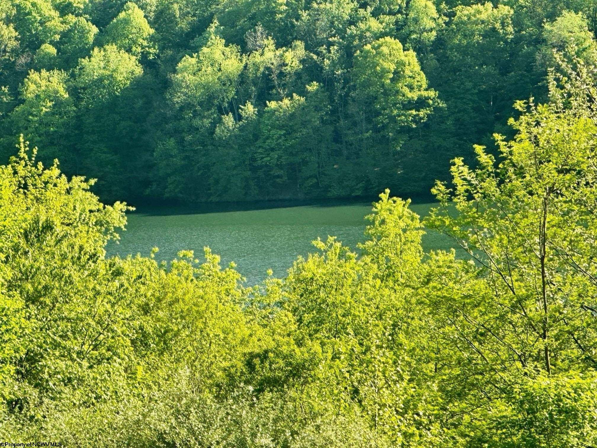 Other - 570 Lakeview Drive, Horner, WV