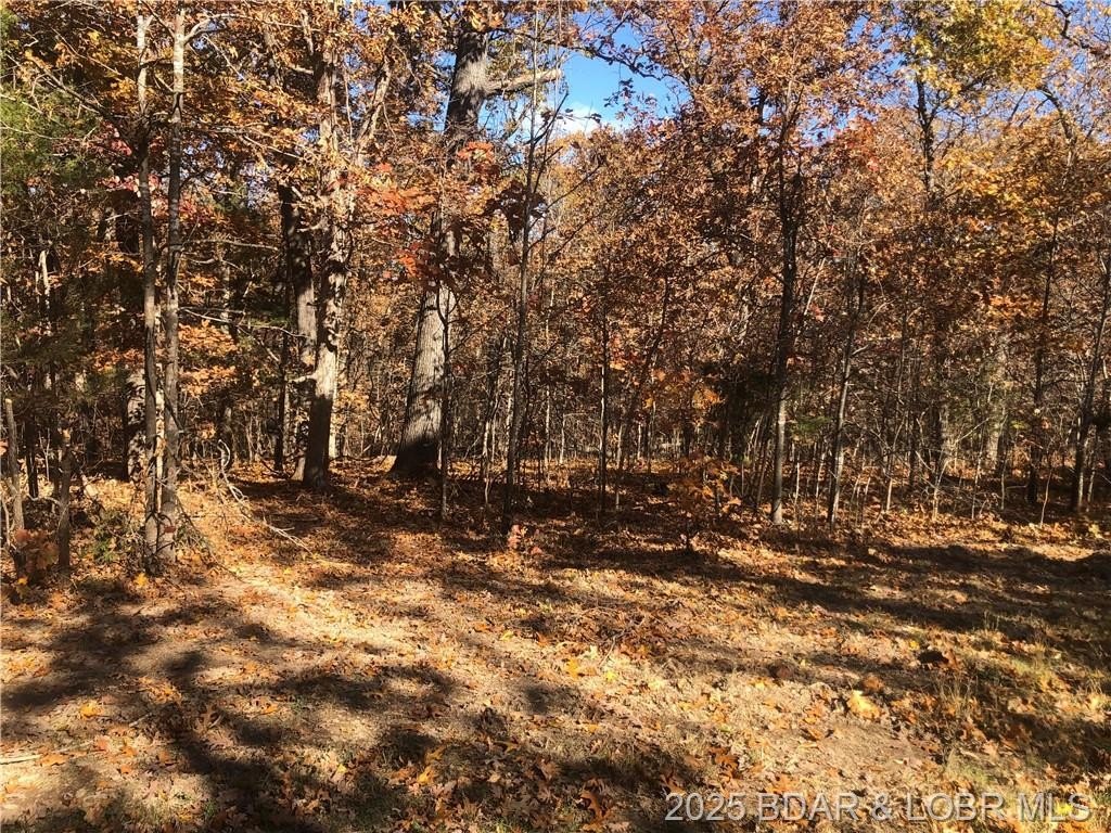 Other - Long Hollow Rd, Versailles, MO
