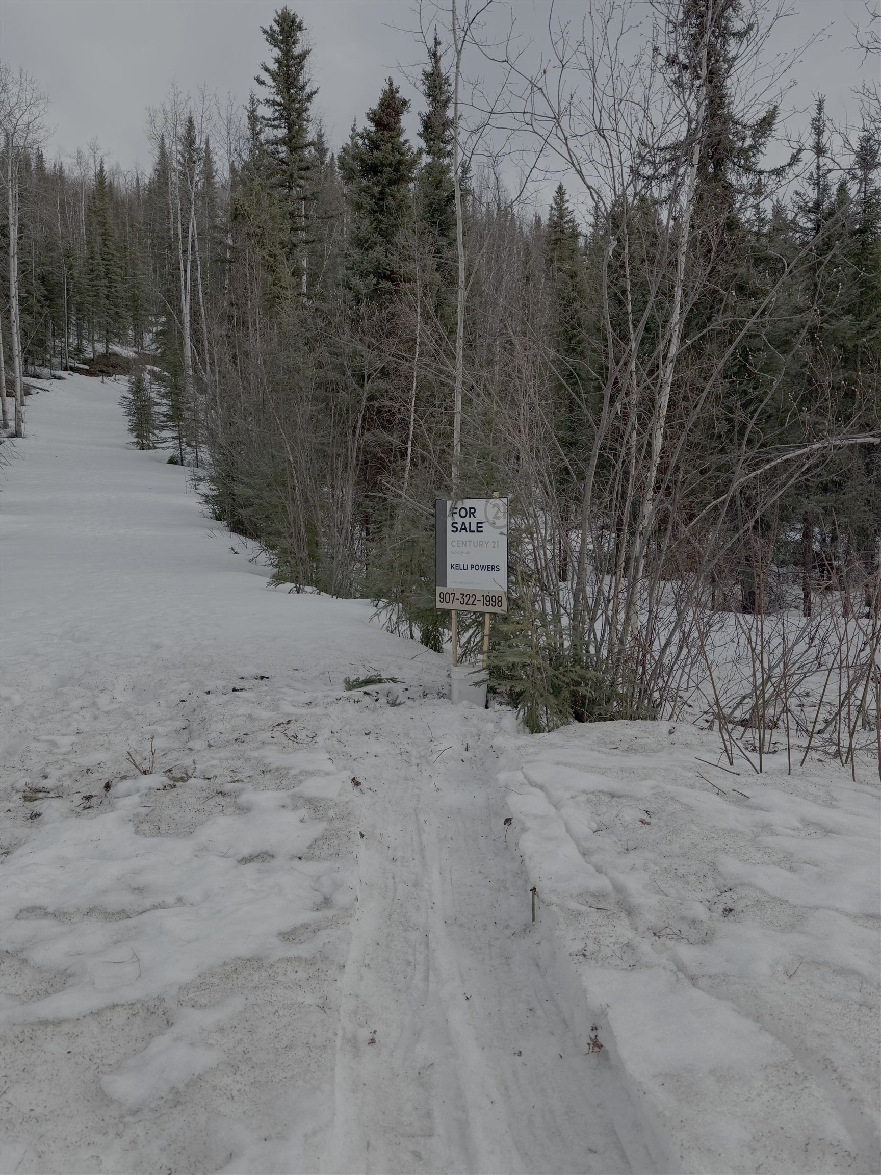 Single Family 2BR 1BA - 55.5 CHENA HOT SPRINGS ROAD, Fairbanks, AK