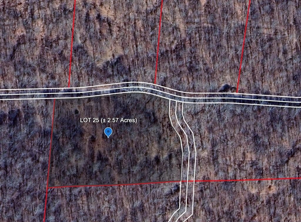 Other - 118 CARDINAL WAY, BRAGG, WV