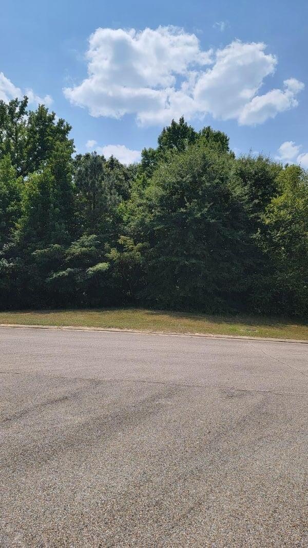 Single Family - Lot 269 Highland Ridge Dr, Saltillo, MS