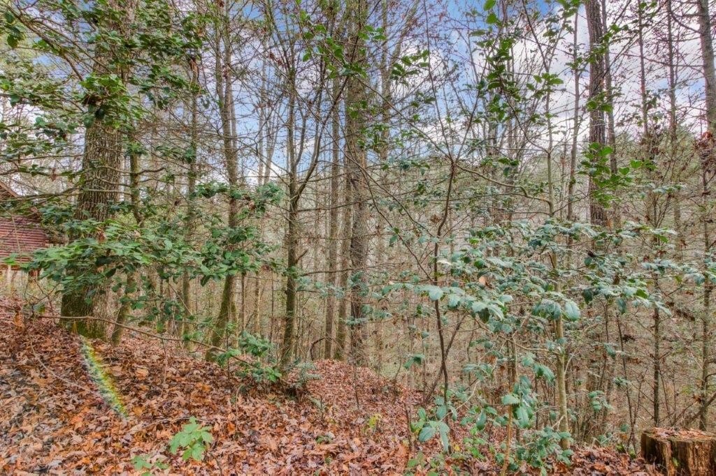 Other - Lot 2 Laurel Overlook Road, Ellijay, GA