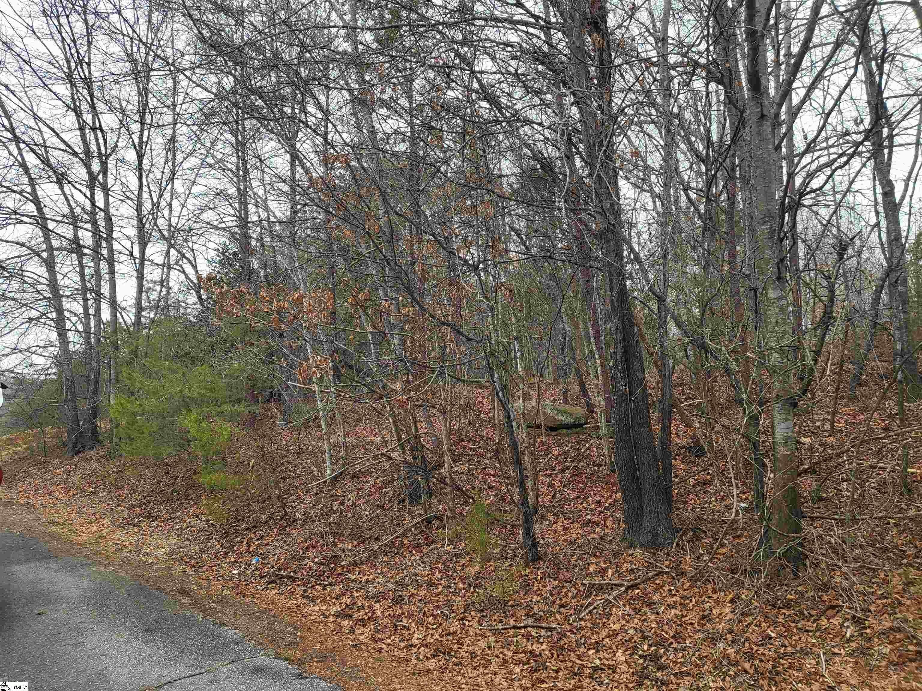 Other - Campbell Covered Bridge Road, Landrum, SC