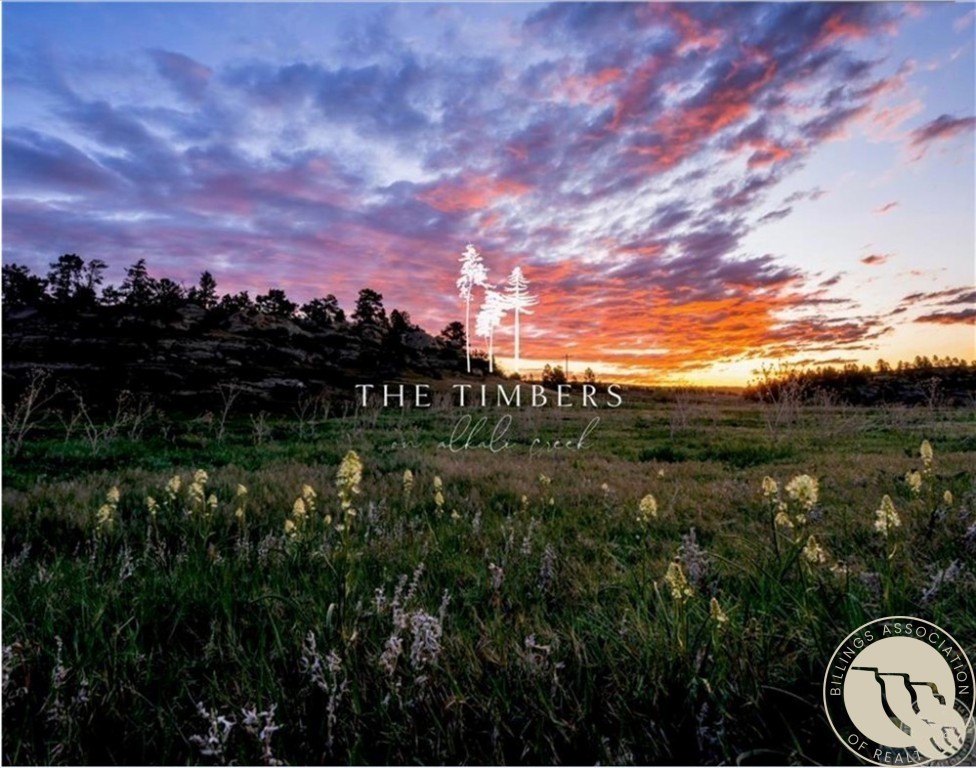 Other - TIMBERS Boulevard S lot: 6, Billings, MT