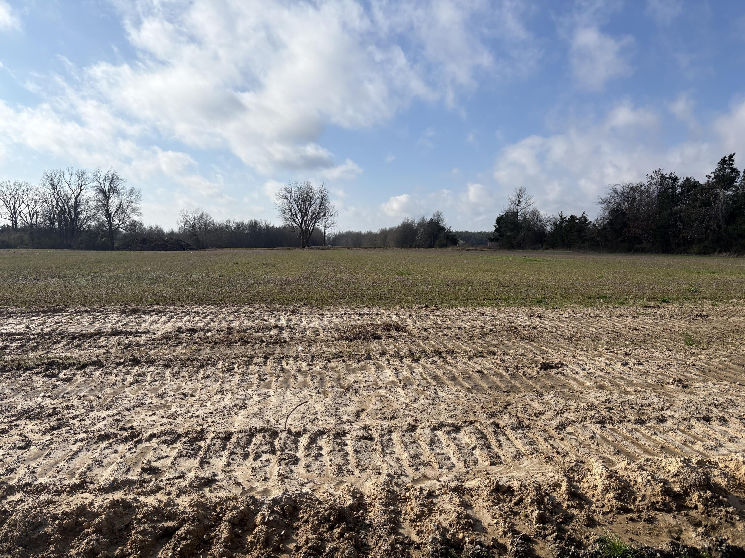 Single Family - County Road 94 Lot 5, New Albany, MS