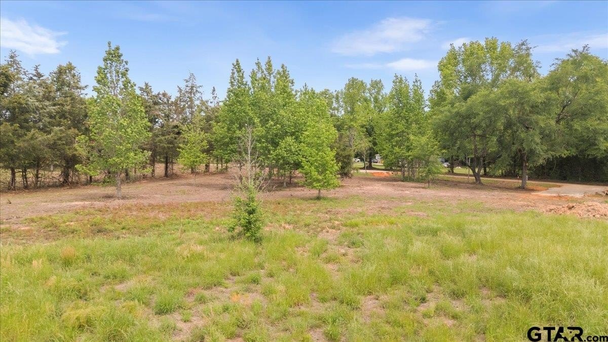 Other - Lot 4 CR 1552, Long Branch, TX