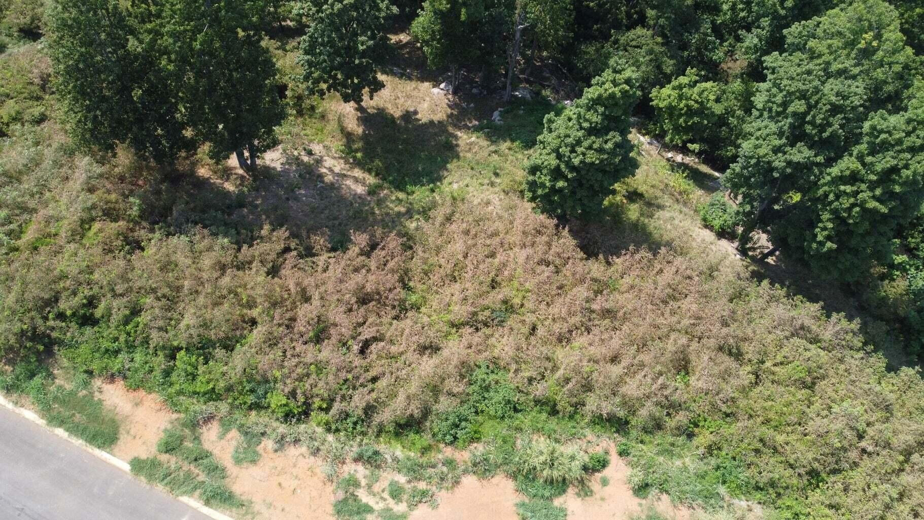 Single Family - 2643 Serenity Sound, Morristown, TN