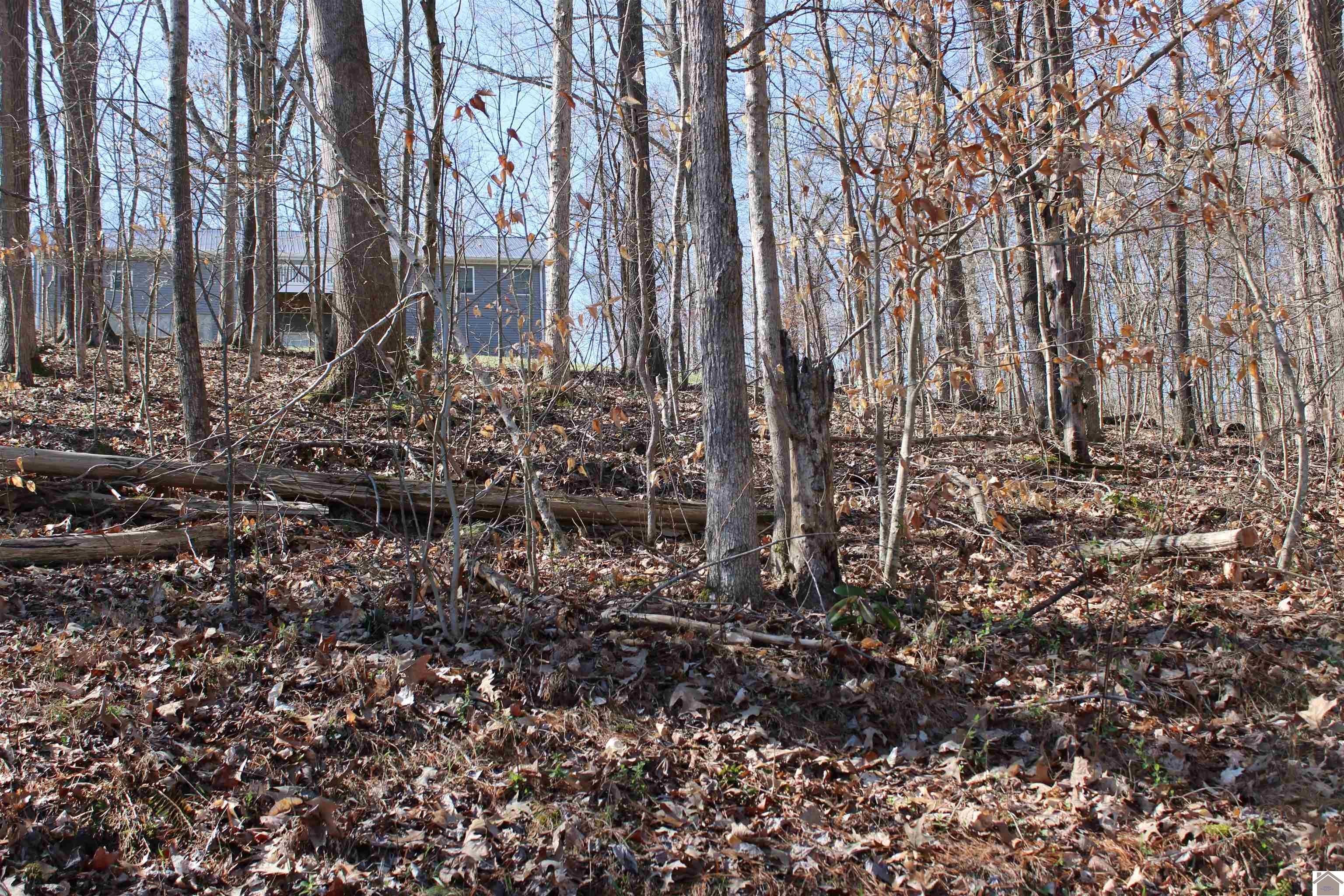 Other - Lisanby Road lot: 54/55, Eddyville, KY