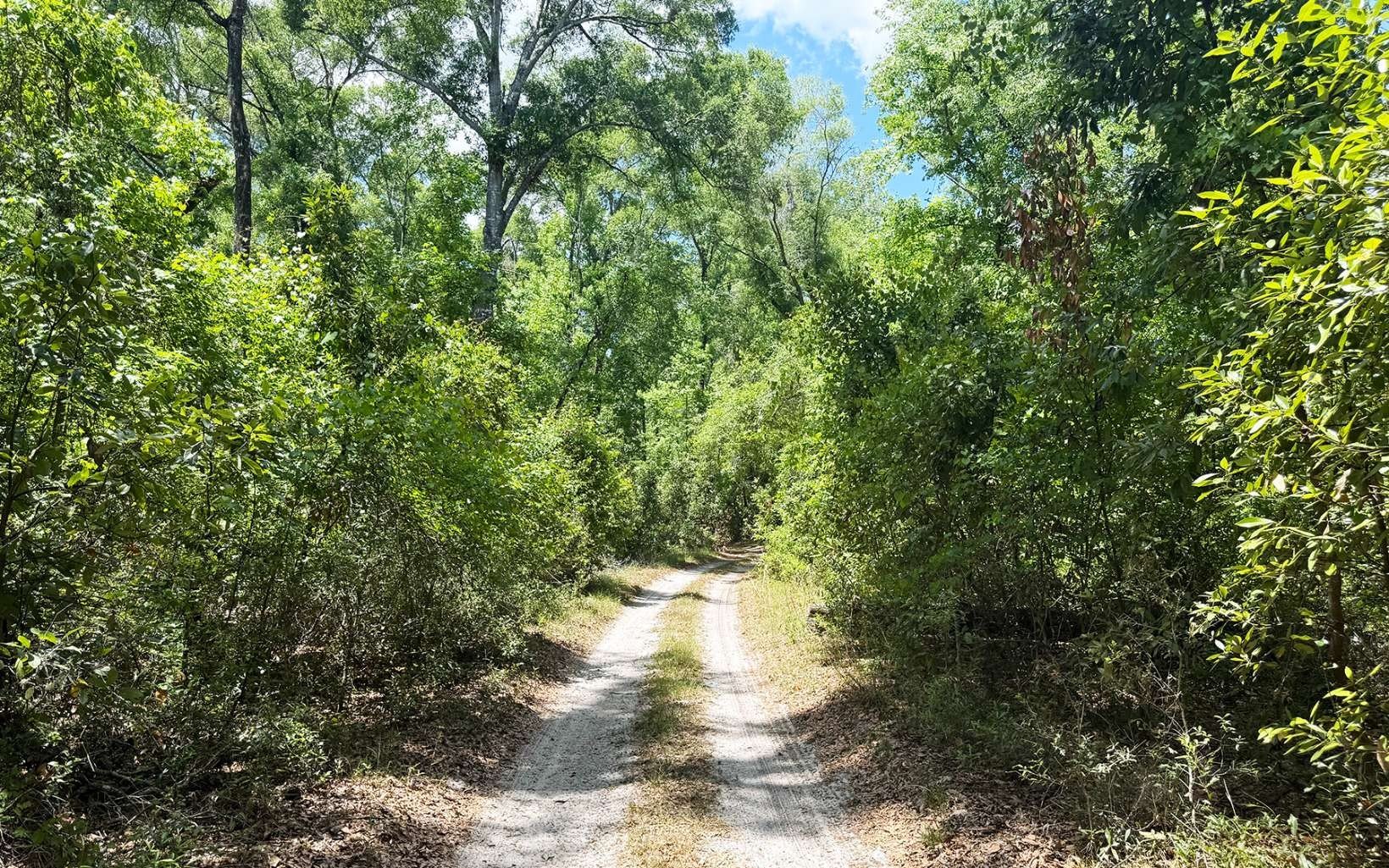 Single Family - TBD 25TH PLACE, Branford, FL