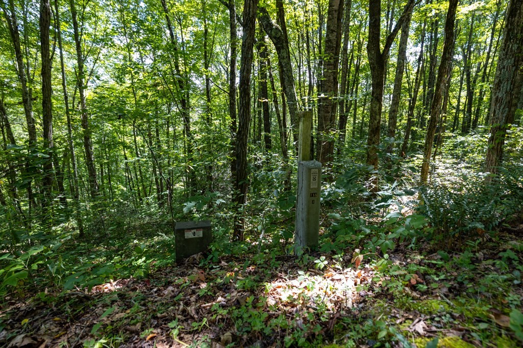 Other - S Cliff Rd lot: 8, Cullowhee, NC