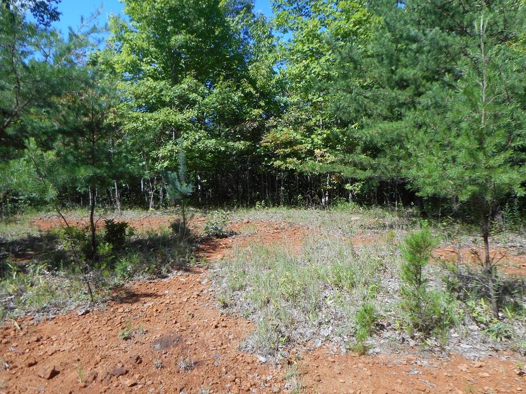 Other - Sanders Road lot: 8, Franklin, NC