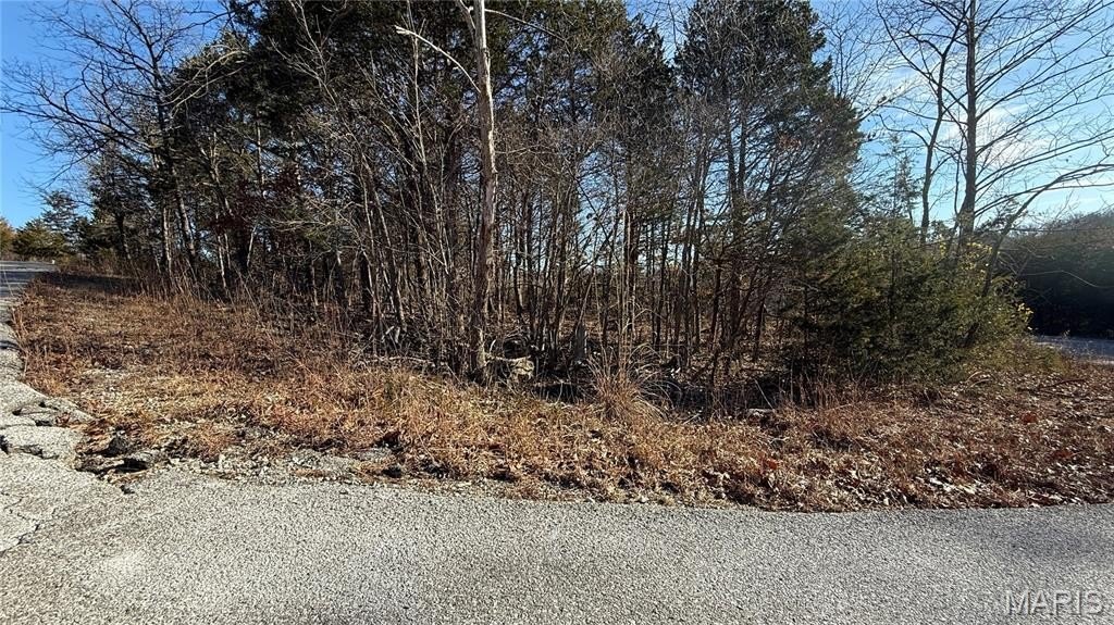 Other - 0 Sassafras Dr, Hillsboro, MO