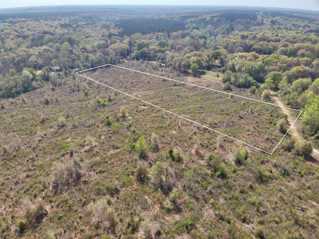Single Family - 5.65 Acres County Road 61, Hartford, AL