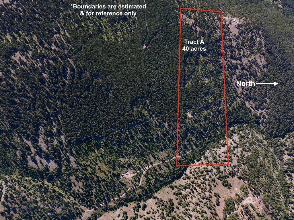 Plots and Land - TBD A Chimney Lakes Road, Helmville, MT