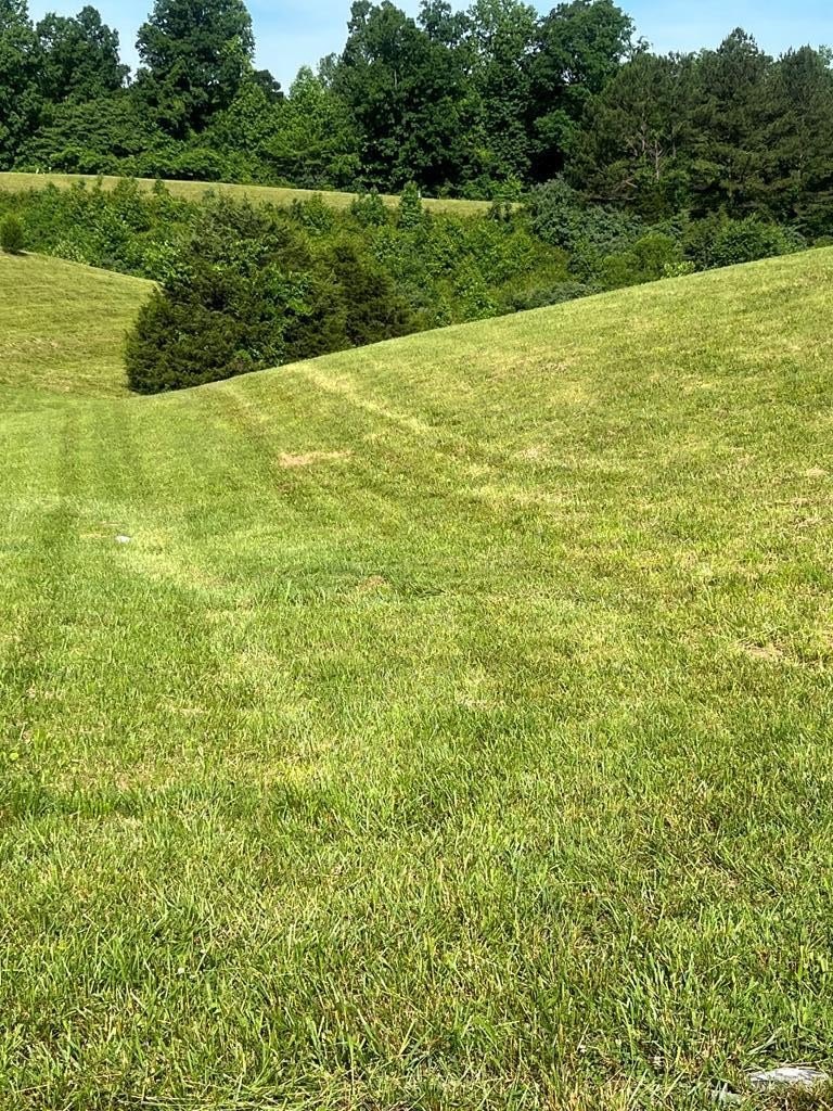 Other - Meadowlark Drive lot: 63, Byrdstown, TN