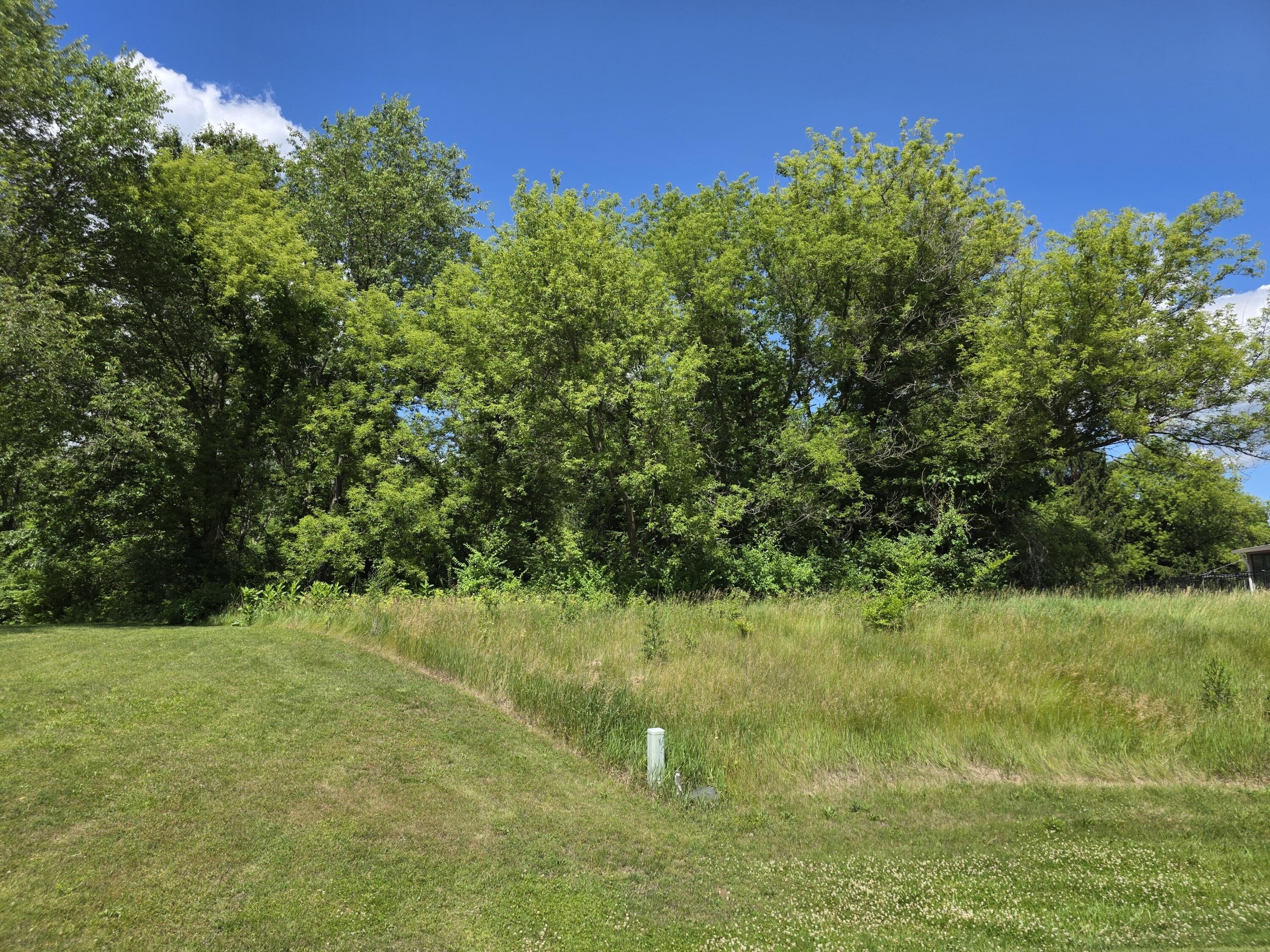 Single Family - Lot 19 Burning Tree Lane, Jackson, MI