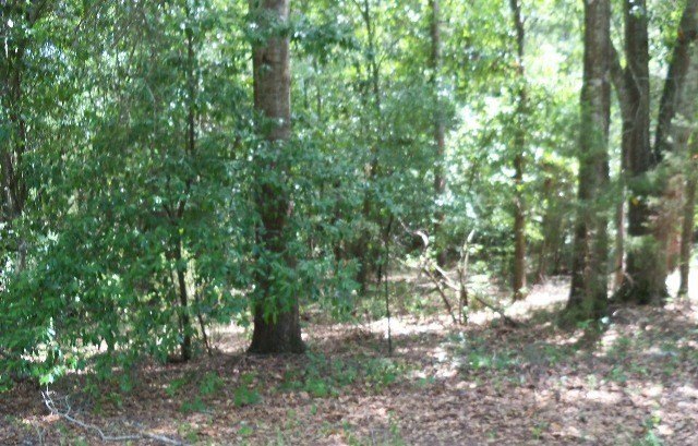 Other - Thomas Road, Lumpkin, GA