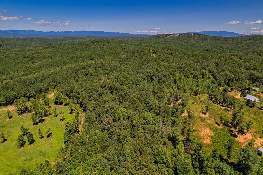 Other - Lot 1 Harris Branch Road E, Ellijay, GA
