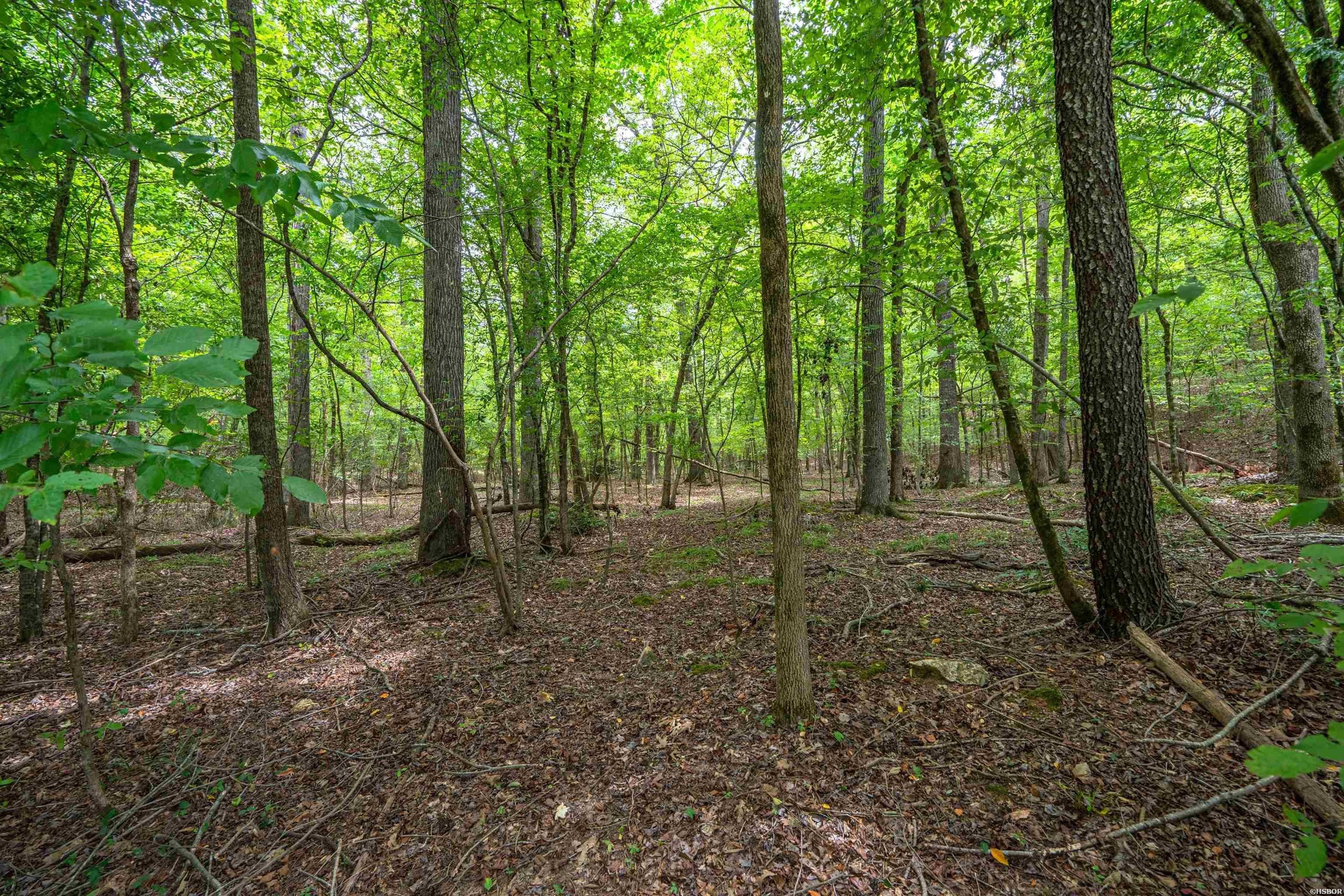 Single Family - Lot 37 FOX RUN, Malvern, AR