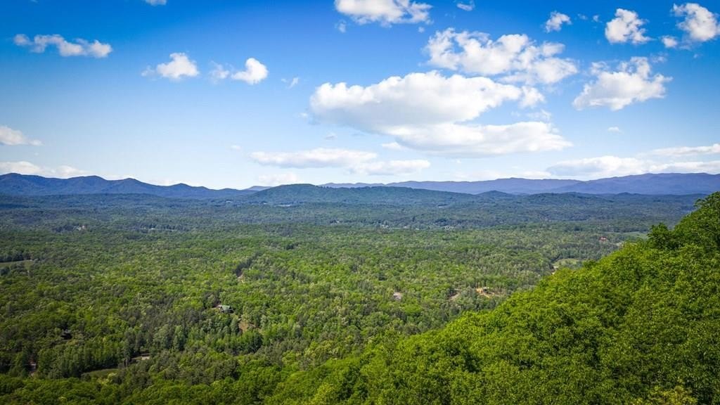 Other - Lot 8 Ada Ridge Road, Mineral Bluff, GA