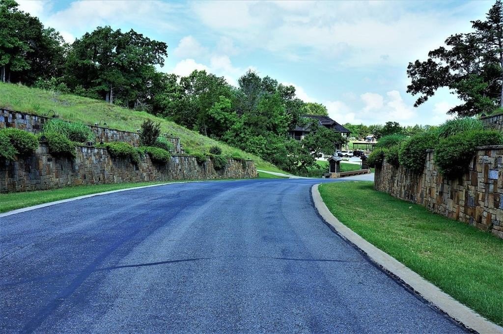 Other - Andrews Court lot: 1B St, Gordonville, TX