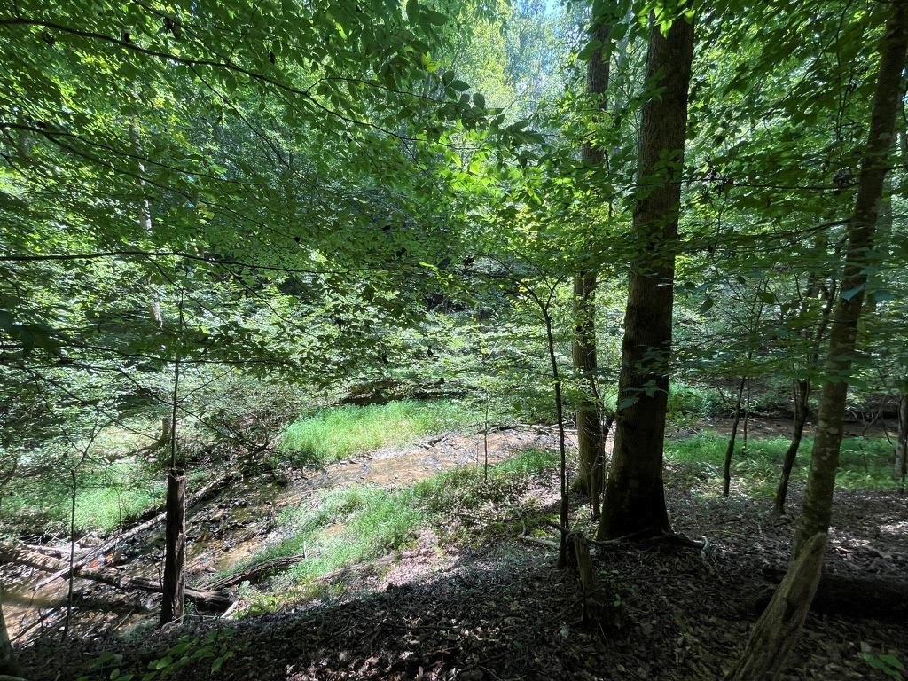 Other - Lot 223 Bowline Drive, Ellijay, GA