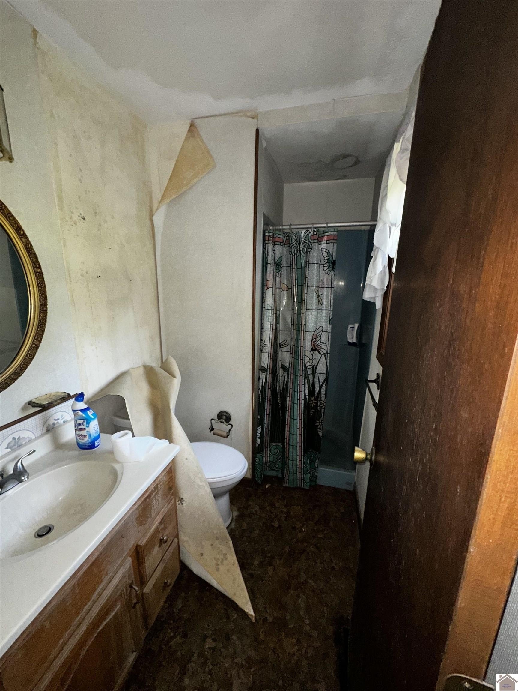 Single Family 3BR 2BA - 2140 KREBS STATION RD, Paducah, KY