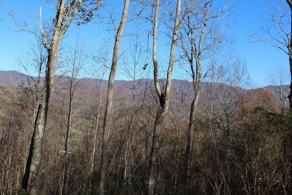 Other - 4 Gabriel Ridge, Hayesville, NC
