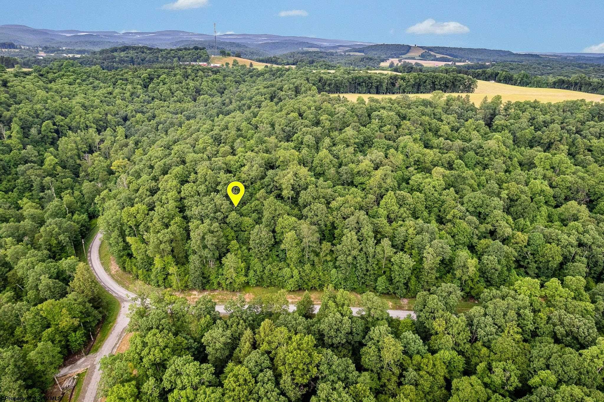 Other - Whitewater Parkway lot: 82, Bruceton Mills, WV