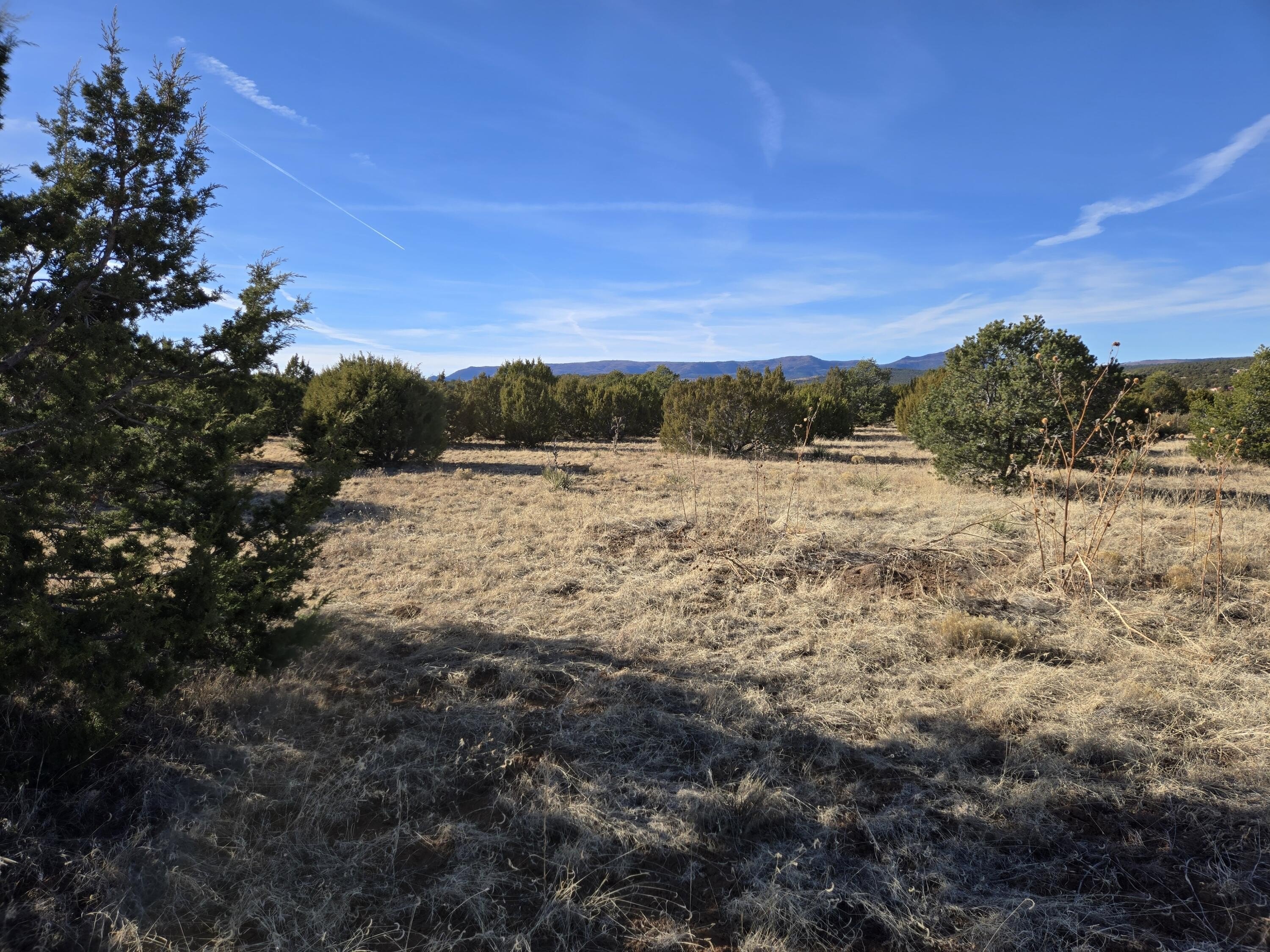 Other - Rosewood Drive, Tajique, NM
