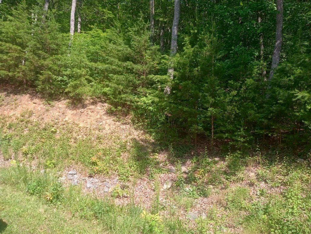 Other - Lt 233 Stone Cliff Drive, Ellijay, GA