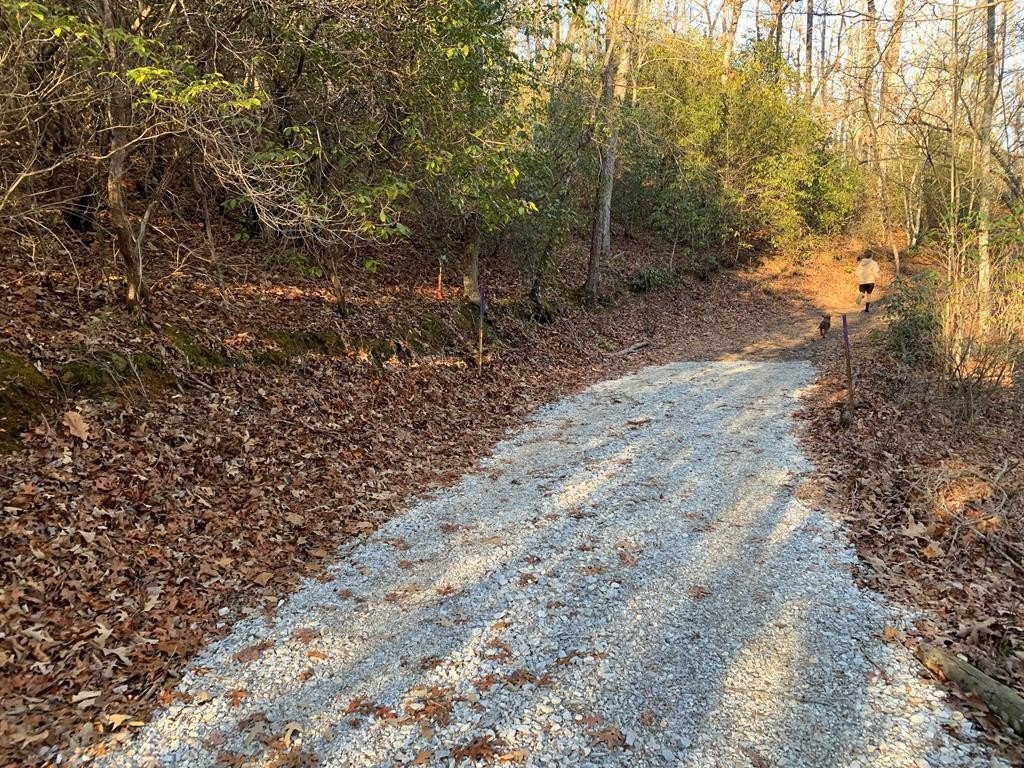 Other - 166 Qualla Terrace lot: 2.3 &2,.6, Murphy, NC