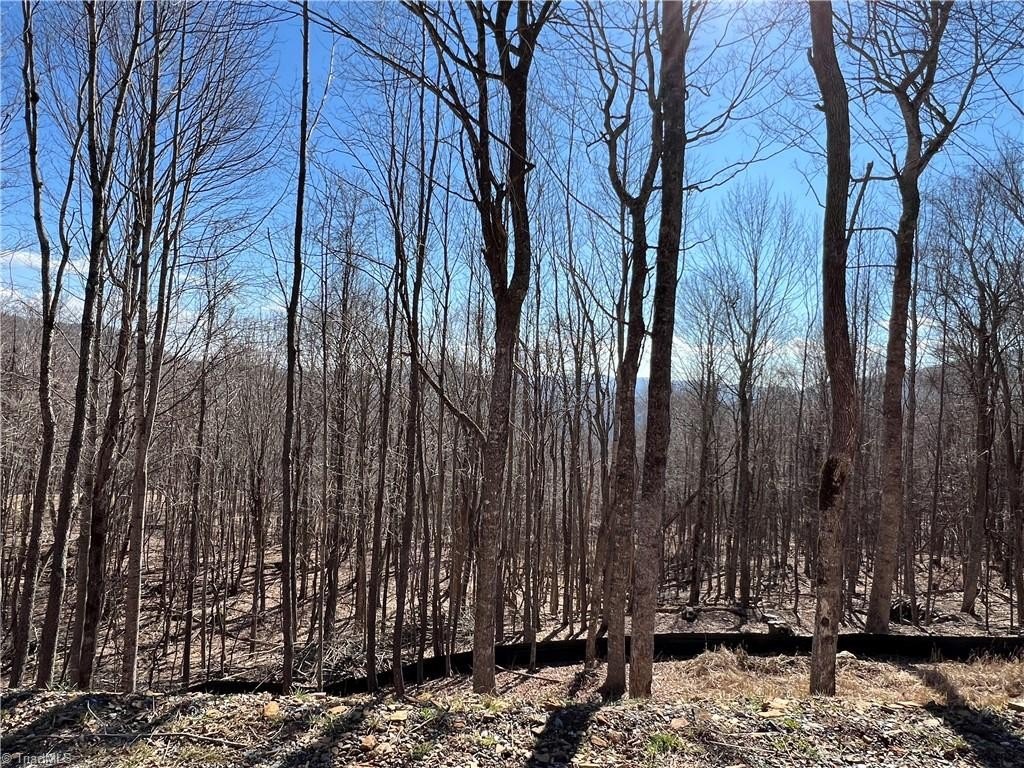 Single Family - TBD (Lot 69) Poplar Forest Drive, Boone, NC