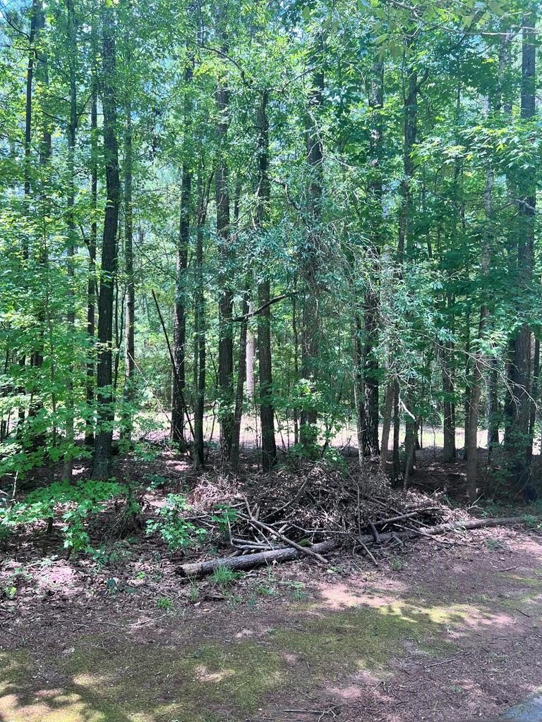 Other - 107/109 Callison Drive, Greenwood, SC