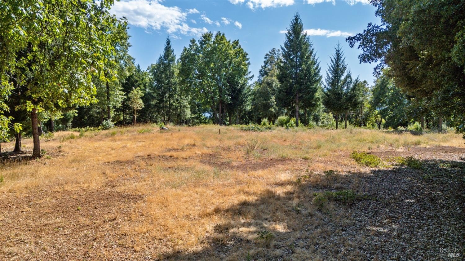 Single Family 3BR 2BA - 78611 Mina Road, Covelo, CA