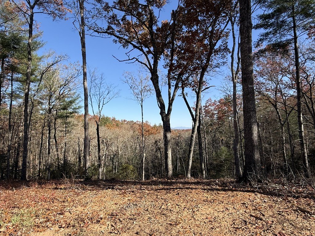 Other - Morgan Road lot: 75, Mineral Bluff, GA